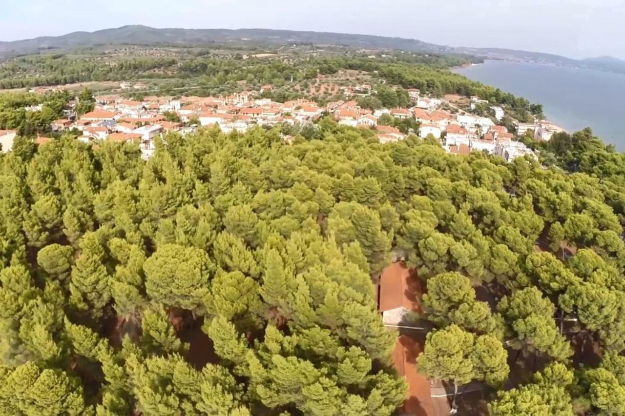 מטהמורפוסי Metamorphosis - Halkidiki Apartment On The Beach מראה חיצוני תמונה