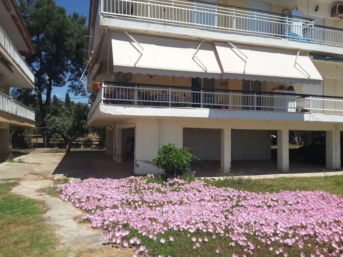 מטהמורפוסי Metamorphosis - Halkidiki Apartment On The Beach מראה חיצוני תמונה